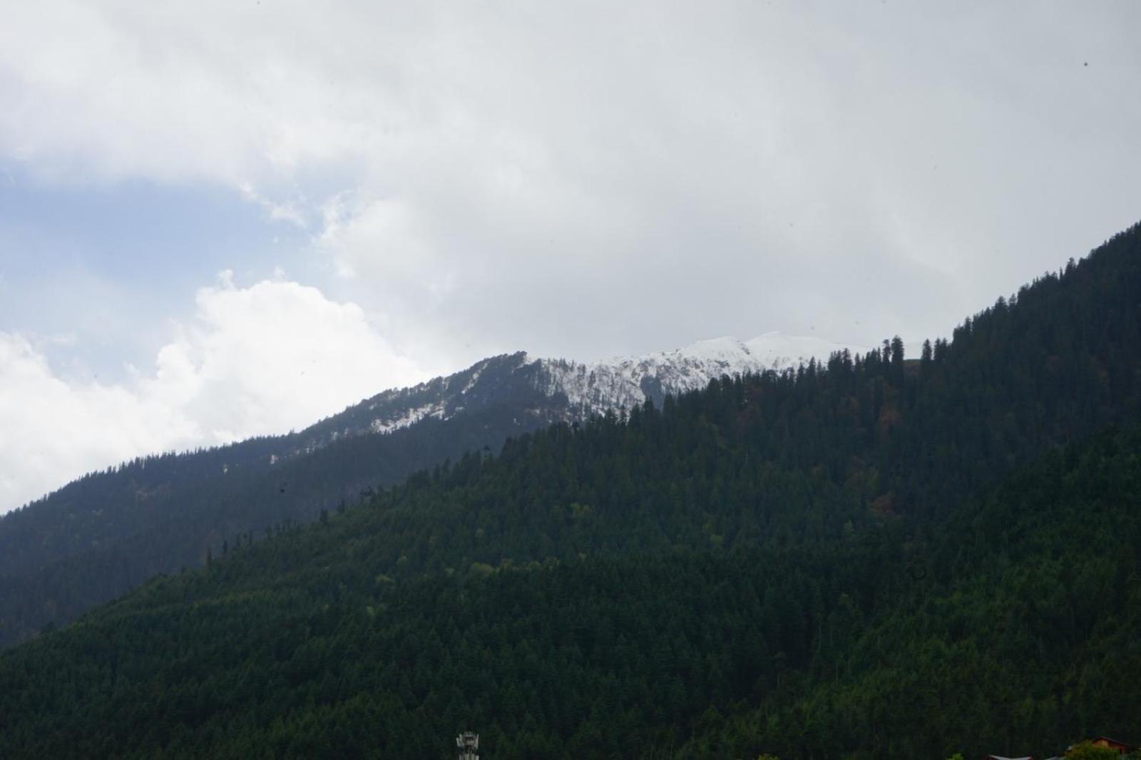 Hotel Magnolia Mallroad Manali Exterior foto
